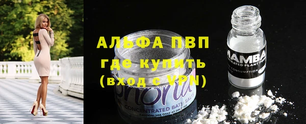 spice Горнозаводск