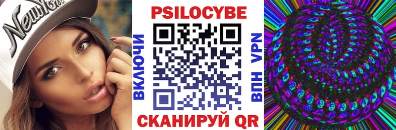 Купить Котовск Галлюциногенные грибы Psilocybe